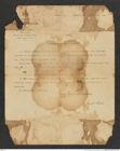 Nachlass Franz Steindachner, Brief von Carl Isidor Cori an Franz Steindachner (15.12.1912), Inv.Nr. 87.04, Seite 1
